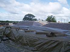 tullamore court  1109.jpg